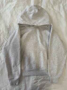 Aritzia Perfect Cozy Sweatfleece Hoodie